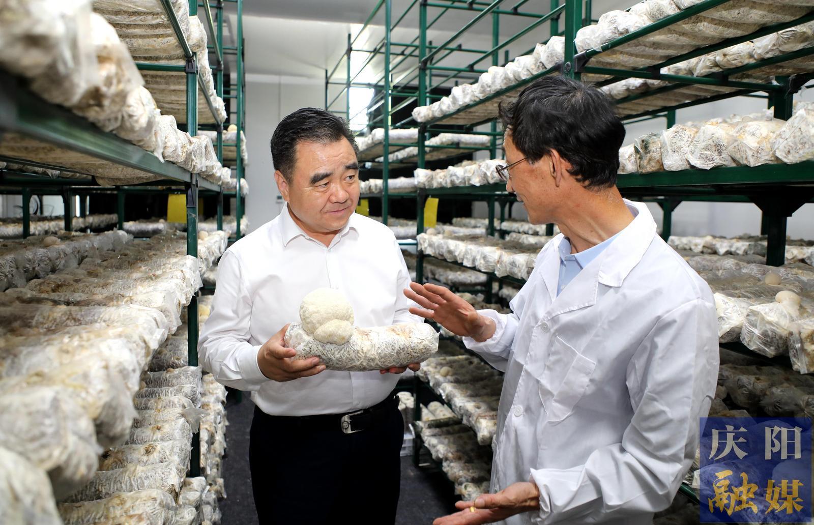 黃澤元在調研食用菌產(chǎn)業(yè)培育發(fā)展情況時強調 突出關鍵環(huán)節(jié)不斷提升產(chǎn)業(yè)比較效益 突破薄弱環(huán)節(jié)加快完成三元雙向閉環(huán)