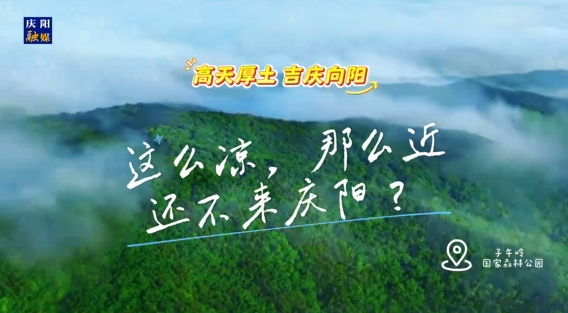 這么涼，那么近，還不來慶陽 ？——“天然氧吧”子午嶺國家森林公園歡迎您來！